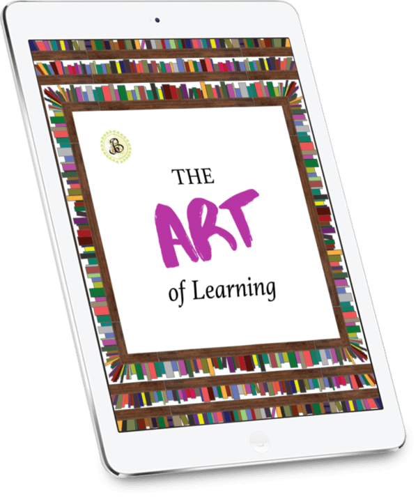 The Art of Learning eBook